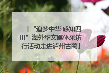 “追梦中华·感知四川”海外华文媒体采访行活动走进泸州古蔺