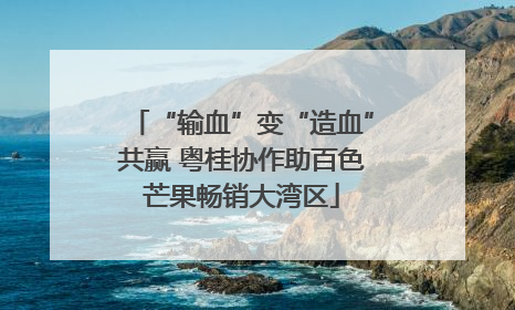 “输血”变“造血”共赢 粤桂协作助百色芒果畅销大湾区