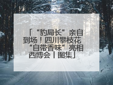 “豹局长”亲自到场！四川攀枝花“自带香味”亮相西博会丨图集