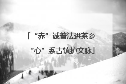“赤”诚普法进茶乡 “心”系古镇护文脉