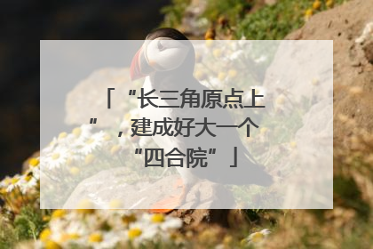 “长三角原点上”，建成好大一个“四合院”