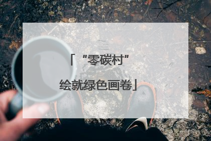 “零碳村” 绘就绿色画卷