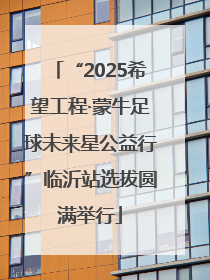 “2025希望工程·蒙牛足球未来星公益行”临沂站选拔圆满举行
