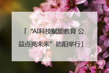 “AI科技赋能教育 公益点亮未来”德阳举行