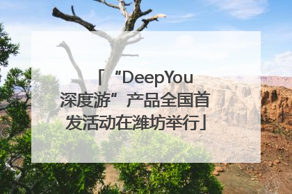 “DeepYou深度游”产品全国首发活动在潍坊举行