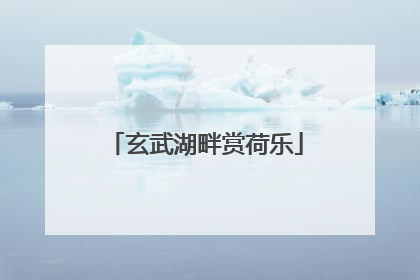 玄武湖畔赏荷乐