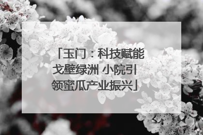玉门：科技赋能戈壁绿洲 小院引领蜜瓜产业振兴