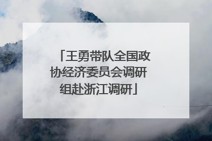 王勇带队全国政协经济委员会调研组赴浙江调研