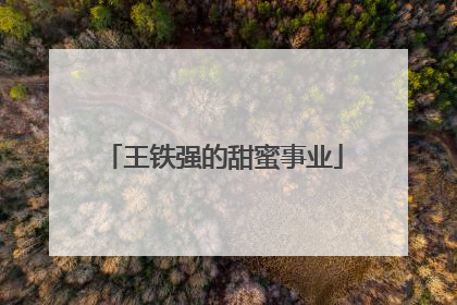 王铁强的甜蜜事业