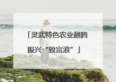 灵武特色农业翻腾振兴“致富浪”