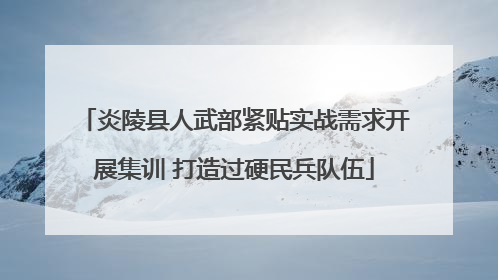 炎陵县人武部紧贴实战需求开展集训 打造过硬民兵队伍
