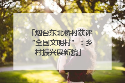 烟台东北桥村获评“全国文明村”：乡村振兴展新貌