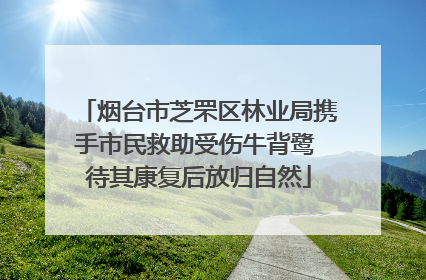 烟台市芝罘区林业局携手市民救助受伤牛背鹭 待其康复后放归自然