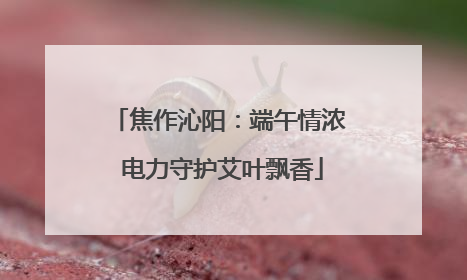 焦作沁阳：端午情浓 电力守护艾叶飘香
