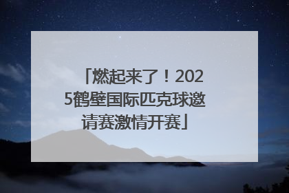 燃起来了！2025鹤壁国际匹克球邀请赛激情开赛