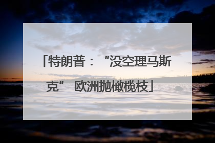 特朗普：“没空理马斯克” 欧洲抛橄榄枝
