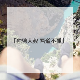 独臂大叔 吾道不孤