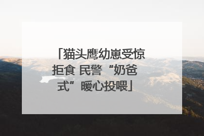 猫头鹰幼崽受惊拒食 民警“奶爸式”暖心投喂