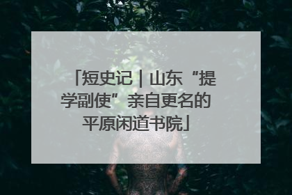 短史记｜山东“提学副使”亲自更名的平原闲道书院