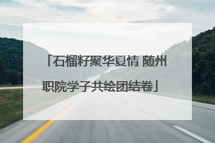石榴籽聚华夏情 随州职院学子共绘团结卷