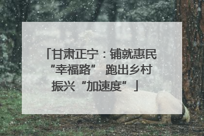 甘肃正宁：铺就惠民“幸福路” 跑出乡村振兴“加速度”