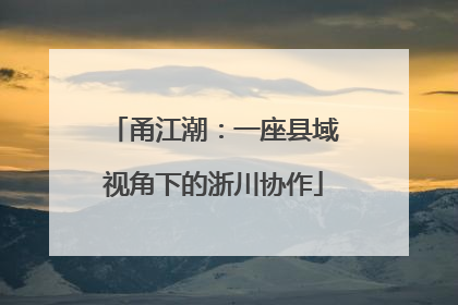 甬江潮：一座县域视角下的浙川协作