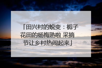 田兴村的蜕变：栀子花田的杨梅熟啦 采摘节让乡村热闹起来