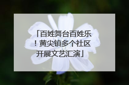 百姓舞台百姓乐！黄尖镇多个社区开展文艺汇演