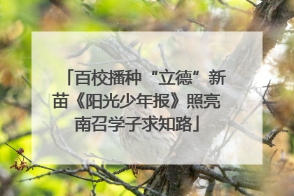 百校播种“立德”新苗《阳光少年报》照亮南召学子求知路