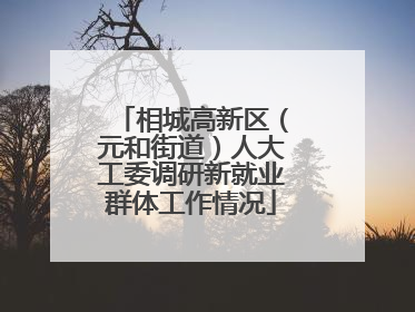 相城高新区（元和街道）人大工委调研新就业群体工作情况