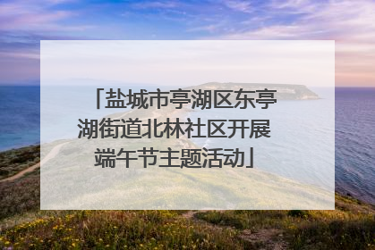 盐城市亭湖区东亭湖街道北林社区开展端午节主题活动
