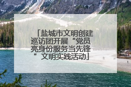 盐城市文明创建巡访团开展“党员亮身份服务当先锋”文明实践活动