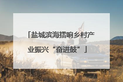 盐城滨海擂响乡村产业振兴“奋进鼓”