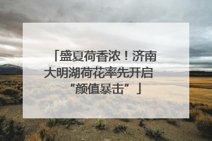 盛夏荷香浓！济南大明湖荷花率先开启“颜值暴击”