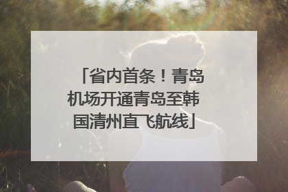 省内首条！青岛机场开通青岛至韩国清州直飞航线