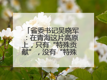 省委书记吴晓军：在青海这片高原上，只有“特殊贡献”，没有“特殊待遇”