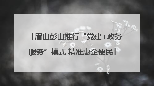 眉山彭山推行“党建+政务服务”模式 精准惠企便民