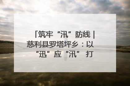 筑牢“汛”防线｜慈利县罗塔坪乡：以“迅”应“汛” 打赢暴雨防御战