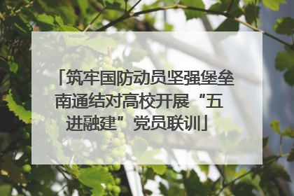筑牢国防动员坚强堡垒 南通结对高校开展“五进融建”党员联训