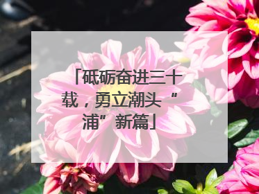 砥砺奋进三十载，勇立潮头“浦”新篇