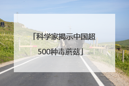 科学家揭示中国超500种毒蘑菇