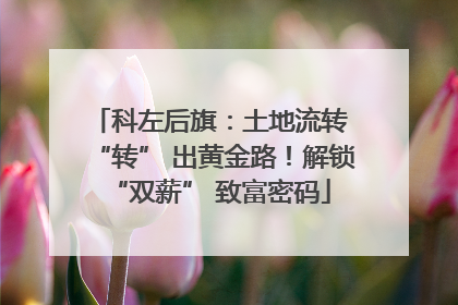 科左后旗：土地流转 “转” 出黄金路！解锁 “双薪” 致富密码