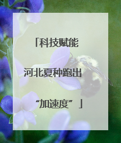 科技赋能 河北夏种跑出“加速度”