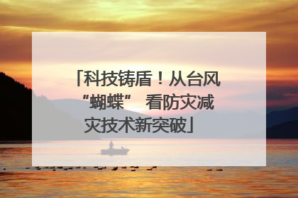 科技铸盾！从台风“蝴蝶” 看防灾减灾技术新突破