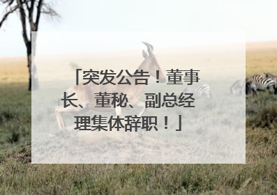突发公告！董事长、董秘、副总经理集体辞职！