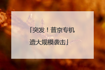突发！普京专机遭大规模袭击