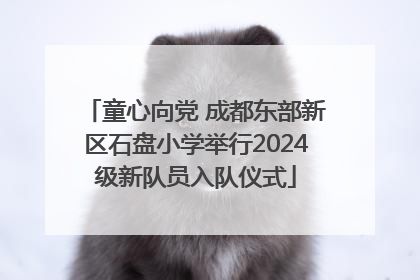 童心向党 成都东部新区石盘小学举行2024级新队员入队仪式