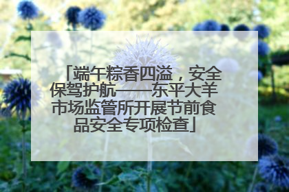 端午粽香四溢，安全保驾护航——东平大羊市场监管所开展节前食品安全专项检查