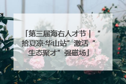 第三届海右人才节｜“拾夏凉·华山站”激活“生态聚才”强磁场