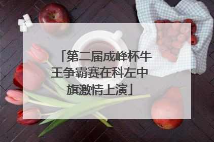 第二届成峰杯牛王争霸赛在科左中旗激情上演
